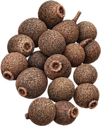 The drawing: allspice, dried berry heap