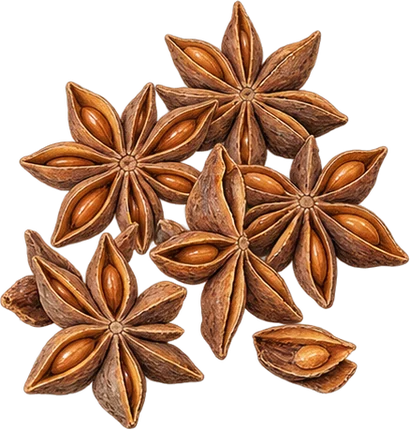 The drawing: anise, star heap