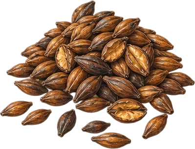 The drawing: barley, roasted barley heap