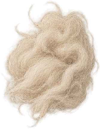 The drawing: cashmeran, raw fibre tuft
