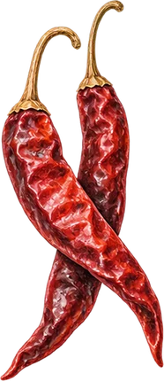 The drawing: chilli