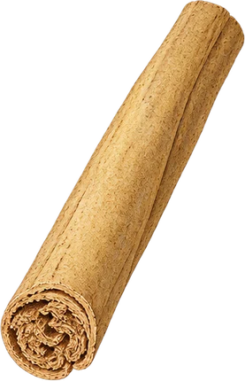 The drawing: cinnamon, cut quill