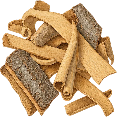The drawing: cinnamon, quillings and featherings