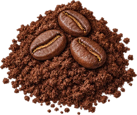 The drawing: coffee, ground coffee