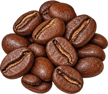 The drawing: coffee, roasted bean heap