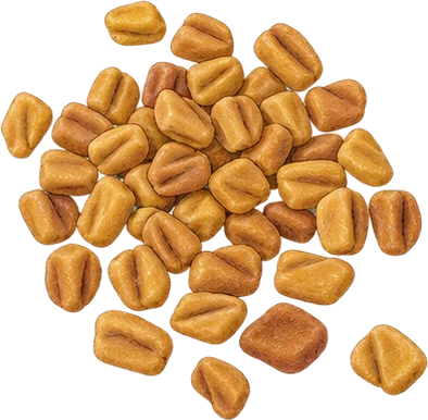The drawing: fenugreek, seed heap