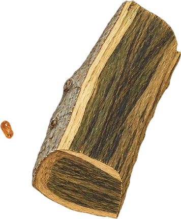 The drawing: guaiacwood, split billet