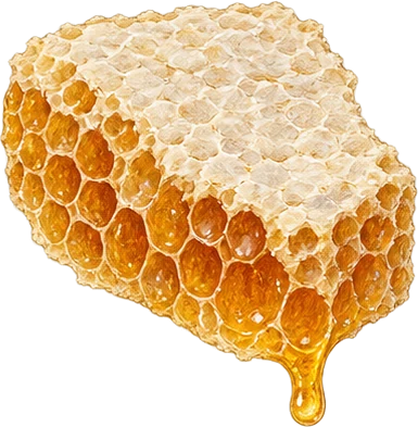 The drawing: honey, comb piece