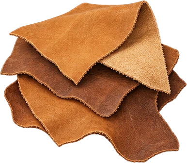 The drawing: leather