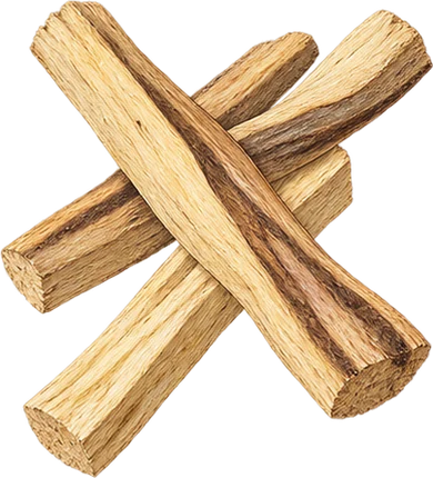 The drawing: palo-santo, stick bundle
