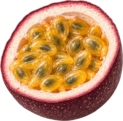 The drawing: passion fruit