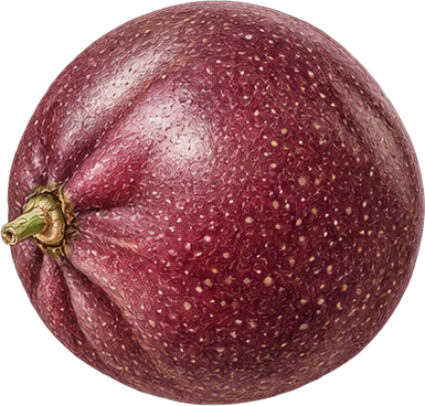 The drawing: passion fruit