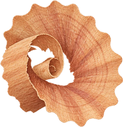 The drawing: cedar pencil and shaving, pencil shavings set