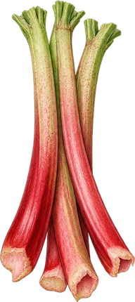 The drawing: rhubarb
