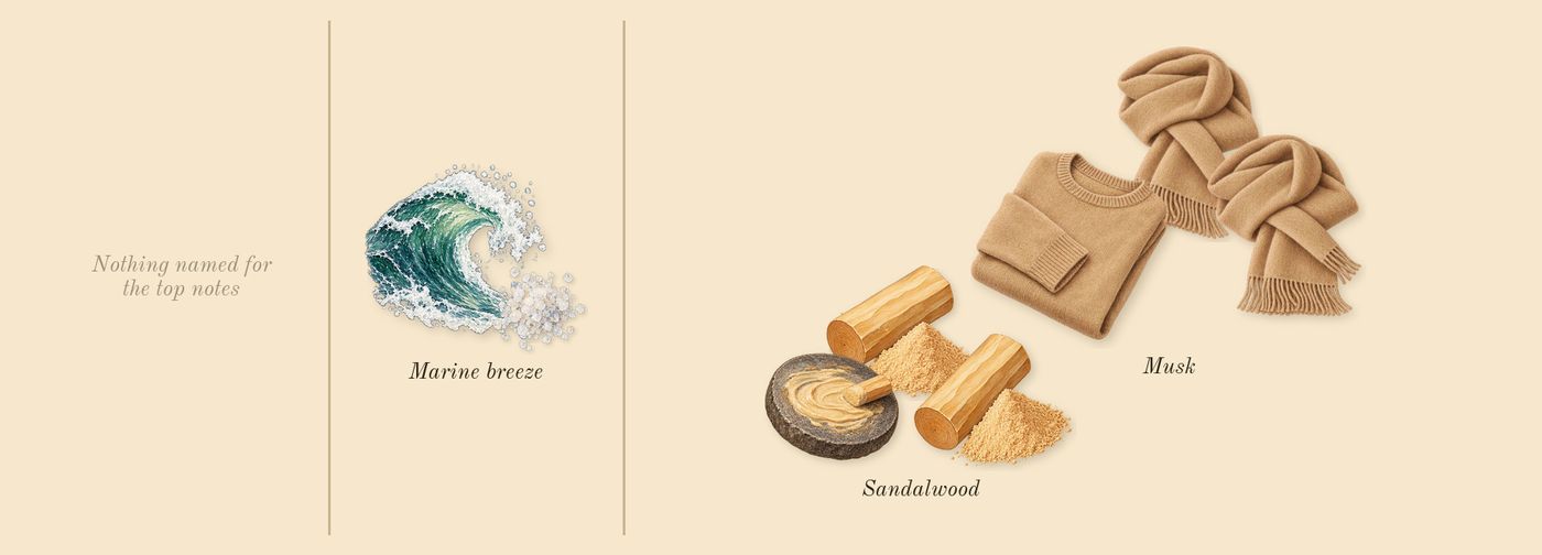 Fierce’s scent picture, a draft: marine breeze, sandalwood, musk drawn so far; dashed outlines where nothing is drawn yet