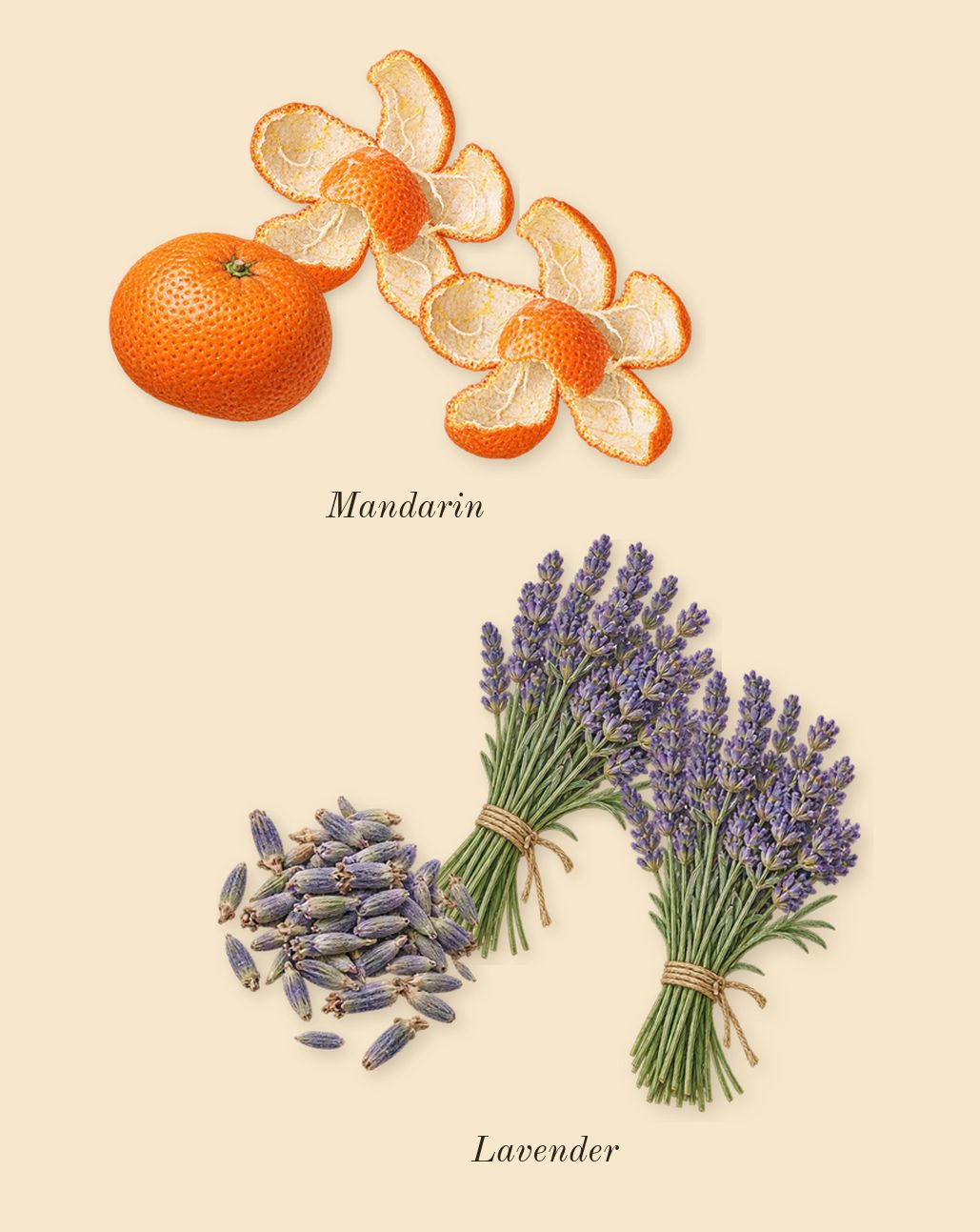 Buongiorno, heart: Lavender, Mandarin