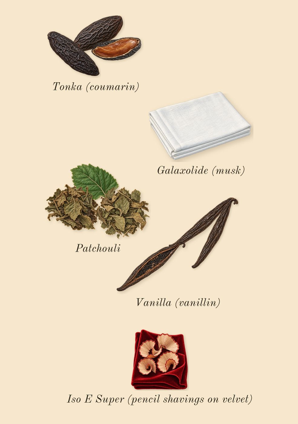 Zafferano, dry-down: Vanilla (vanillin), Tonka (coumarin), Patchouli, Iso E Super (pencil shavings on velvet), Galaxolide (musk)