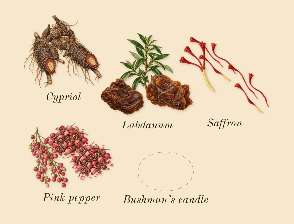 Amnesia Rose, heart: Bushman’s candle, Saffron, Cypriol, Labdanum, Pink pepper