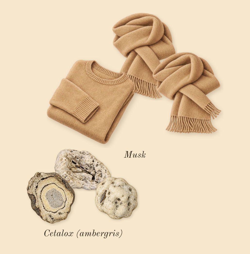 Mediterranean Honeysuckle, dry-down: Cetalox (ambergris), Musk