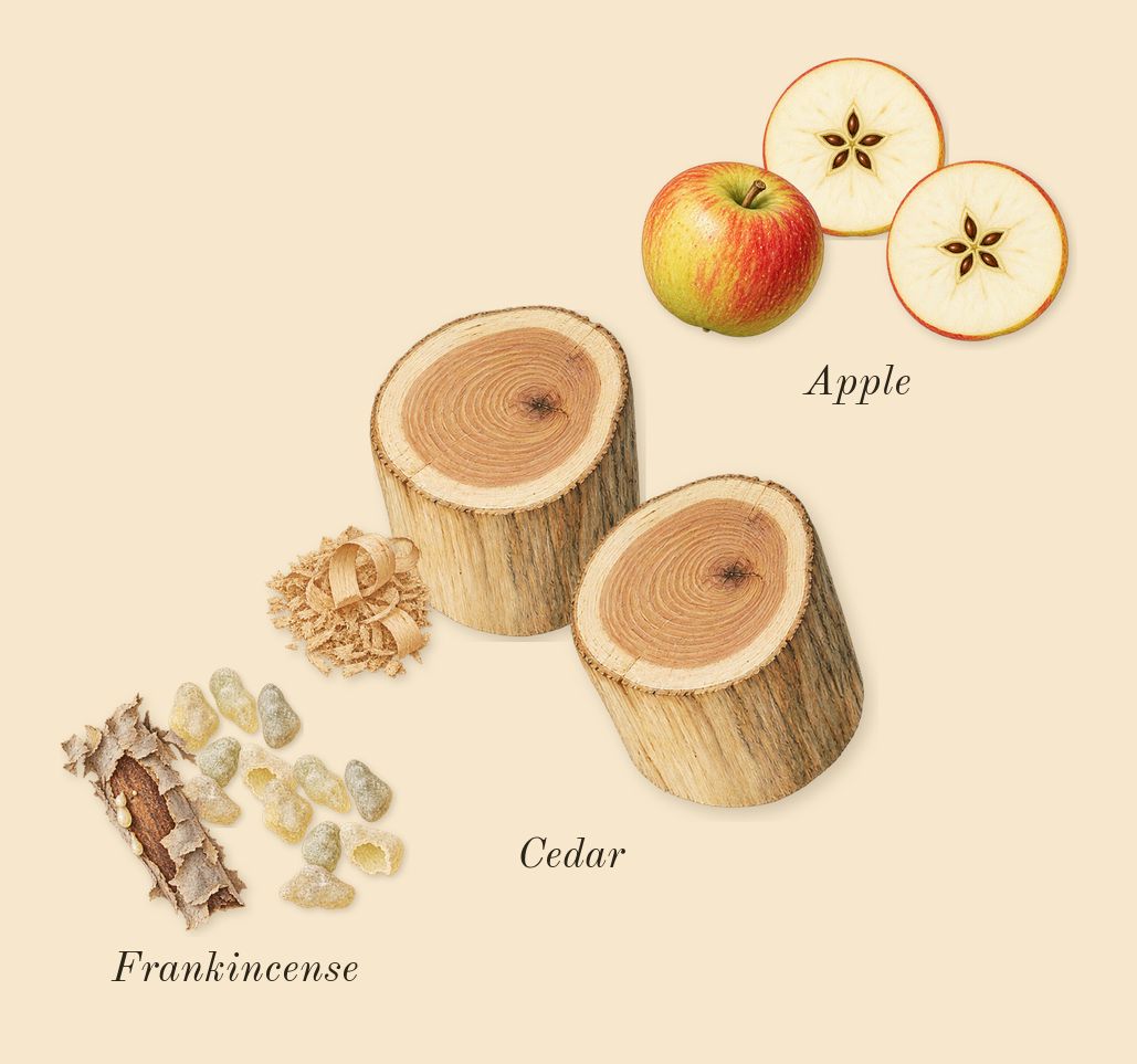 9 AM Dive, heart: Apple, Frankincense, Cedar