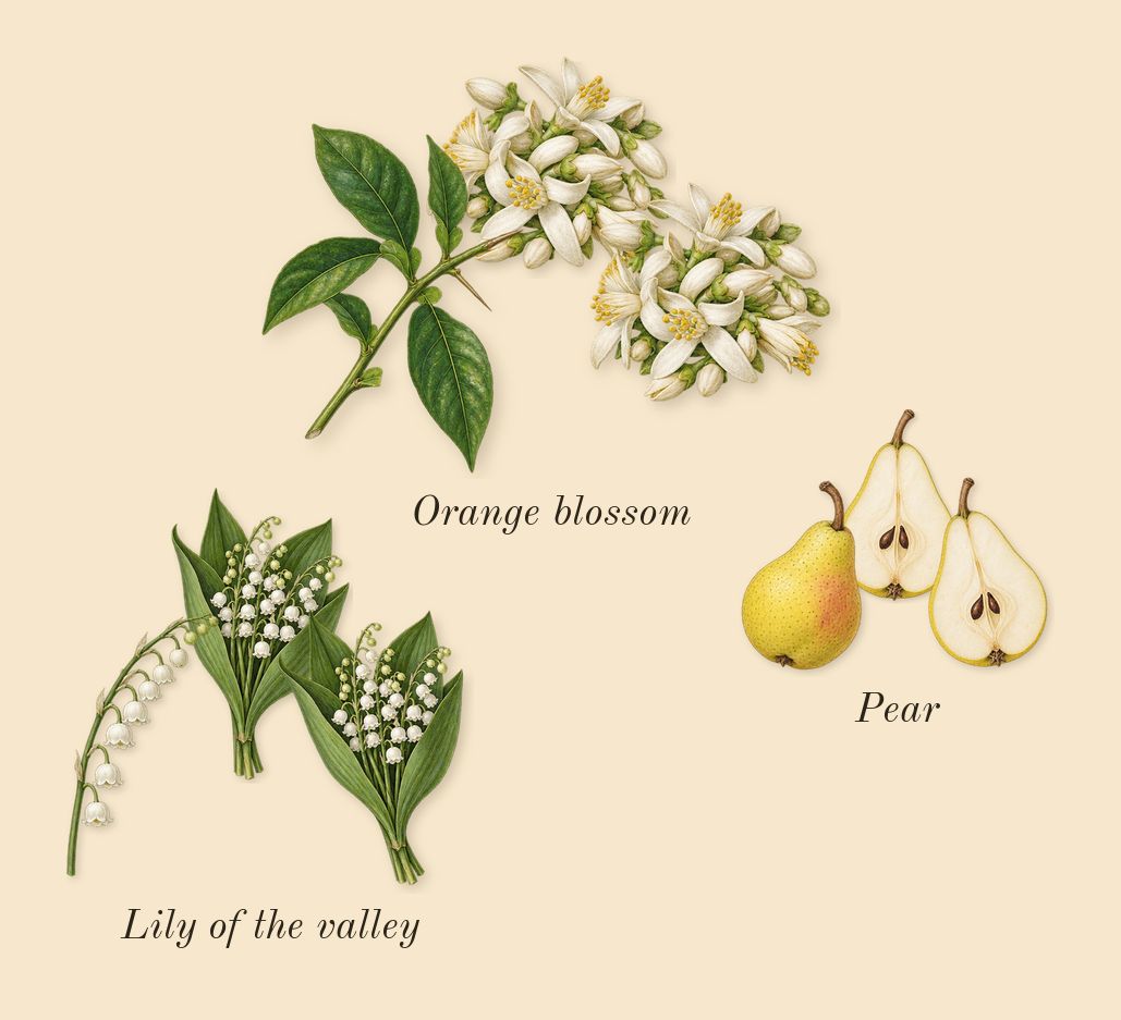 9 PM, heart: Lily of the valley, Orange blossom, Pear