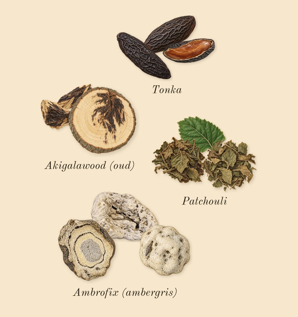9 PM Night Out, dry-down: Tonka, Akigalawood (oud), Ambrofix (ambergris), Patchouli