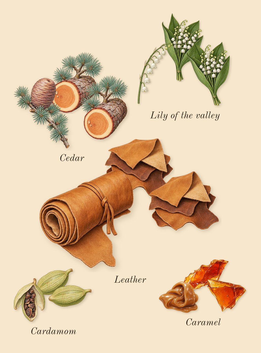 9 PM Night Out, heart: Cardamom, Lily of the valley, Leather, Caramel, Cedar