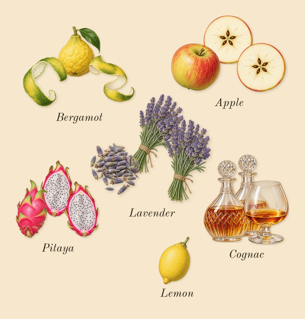 9 PM Night Out, top notes: Pitaya, Bergamot, Cognac, Lavender, Apple, Lemon