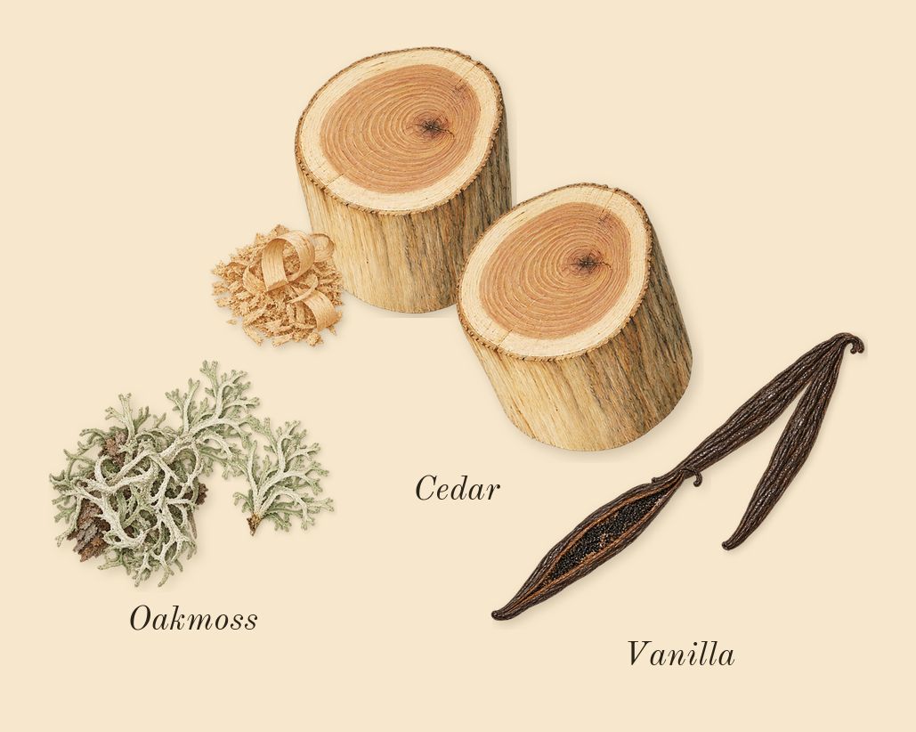 9 PM Rebel, heart: Cedar, Oakmoss, Vanilla