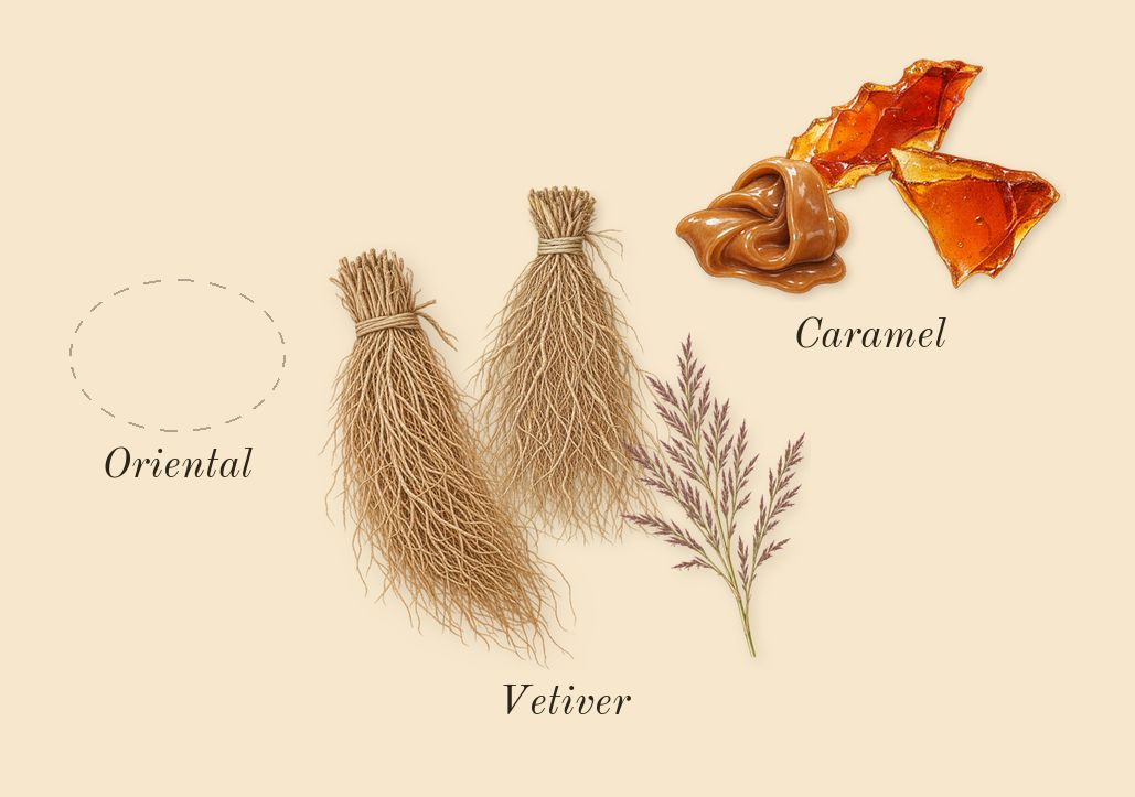 Lynked Freedom, dry-down: Vetiver, Oriental, Caramel