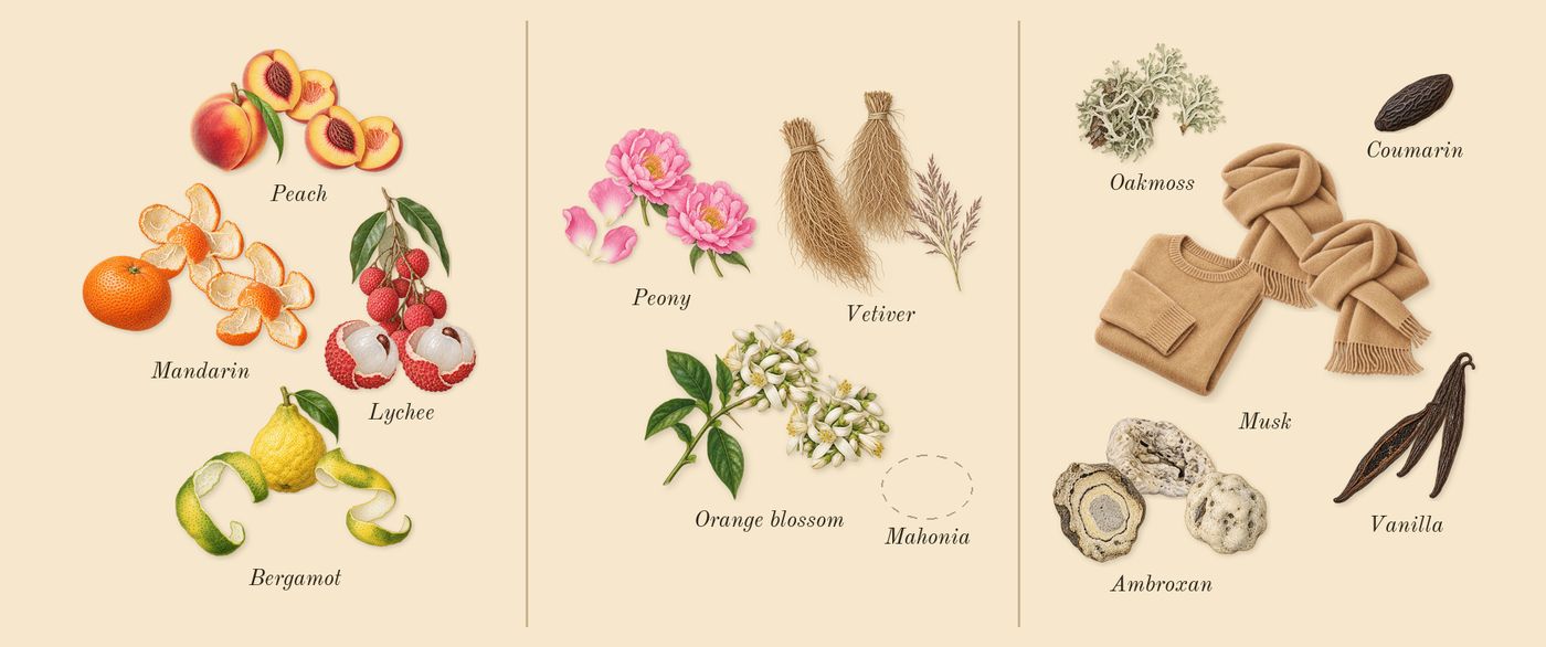 Mystique Bouquet’s scent picture, a draft: peach, mandarin, bergamot, lychee, orange blossom, vetiver drawn so far; dashed outlines where nothing is drawn yet