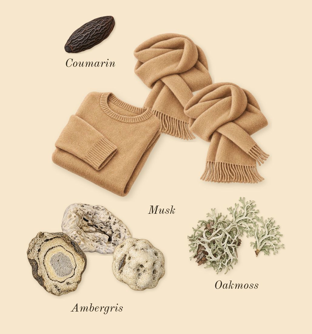 Supremacy Collector's Edition, dry-down: Oakmoss, Musk, Ambergris, Coumarin