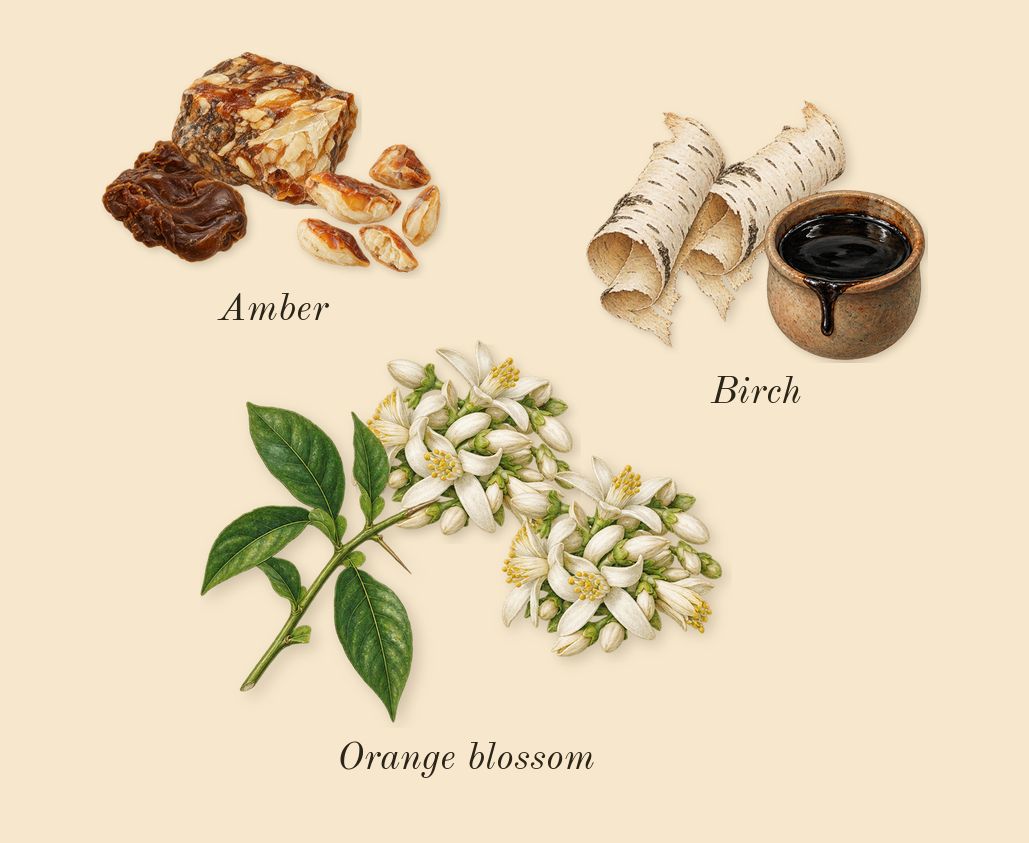 Supremacy Collector's Edition, heart: Orange blossom, Birch