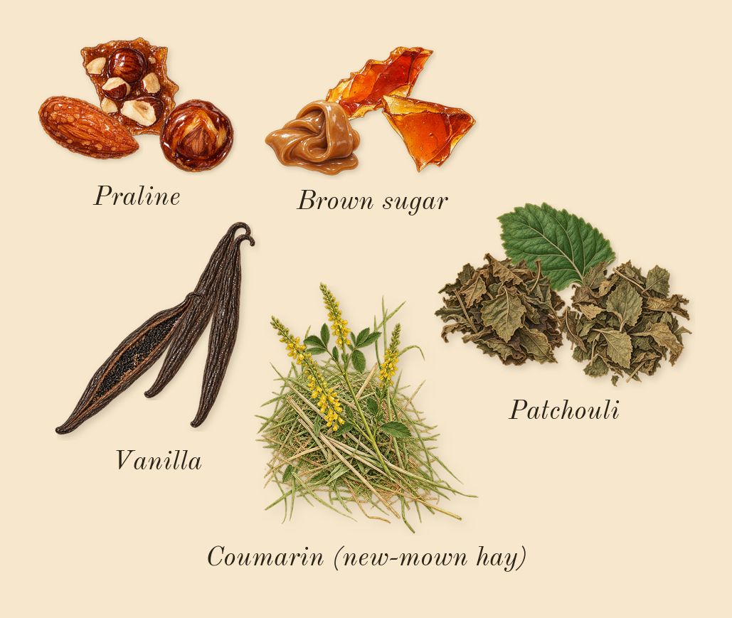 Supremacy Gala, dry-down: Vanilla, Brown sugar, Praline, Patchouli, Coumarin (new-mown hay)