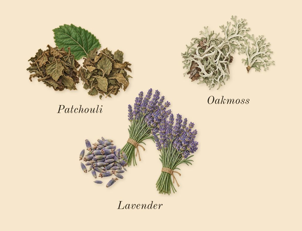 Supremacy Not Only Intense, heart: Lavender, Patchouli, Oakmoss