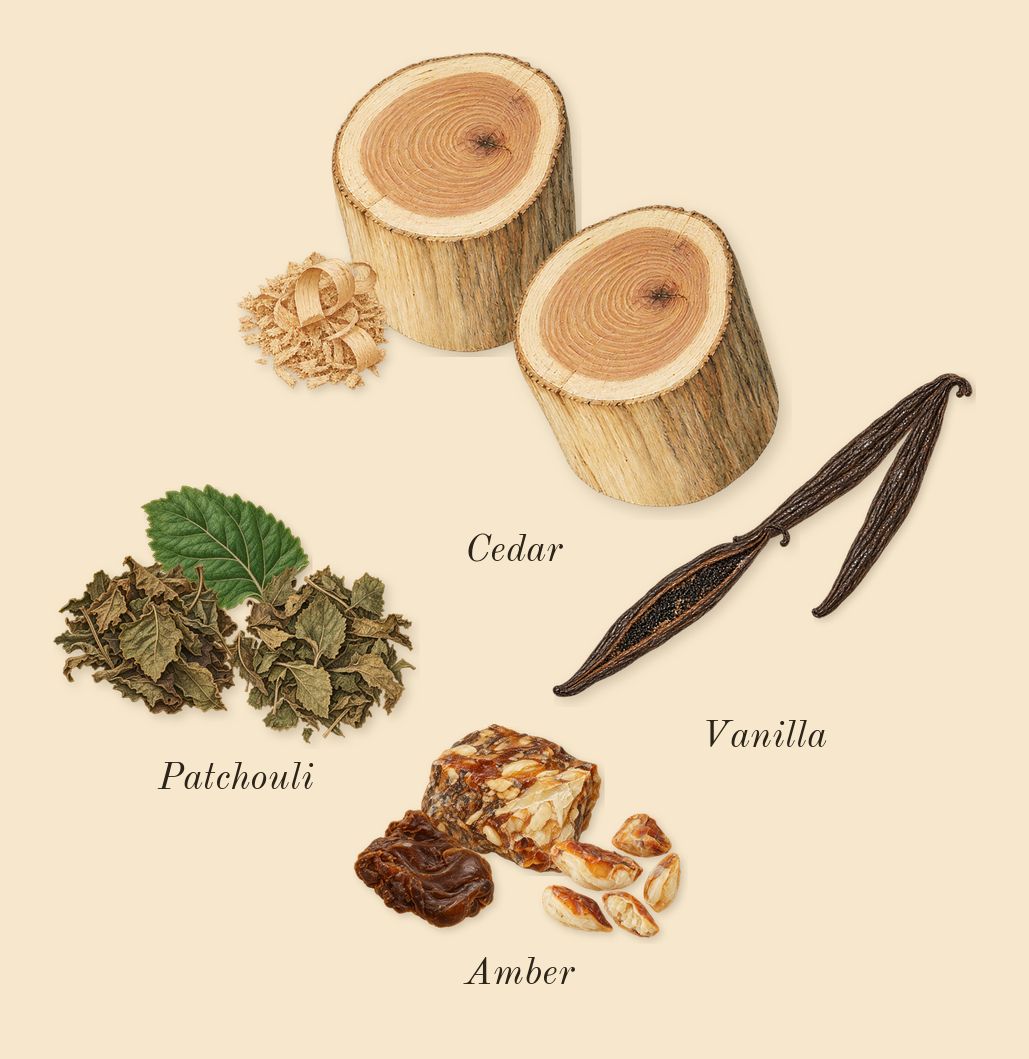 Amber Wood, dry-down: Patchouli, Cedar, Vanilla