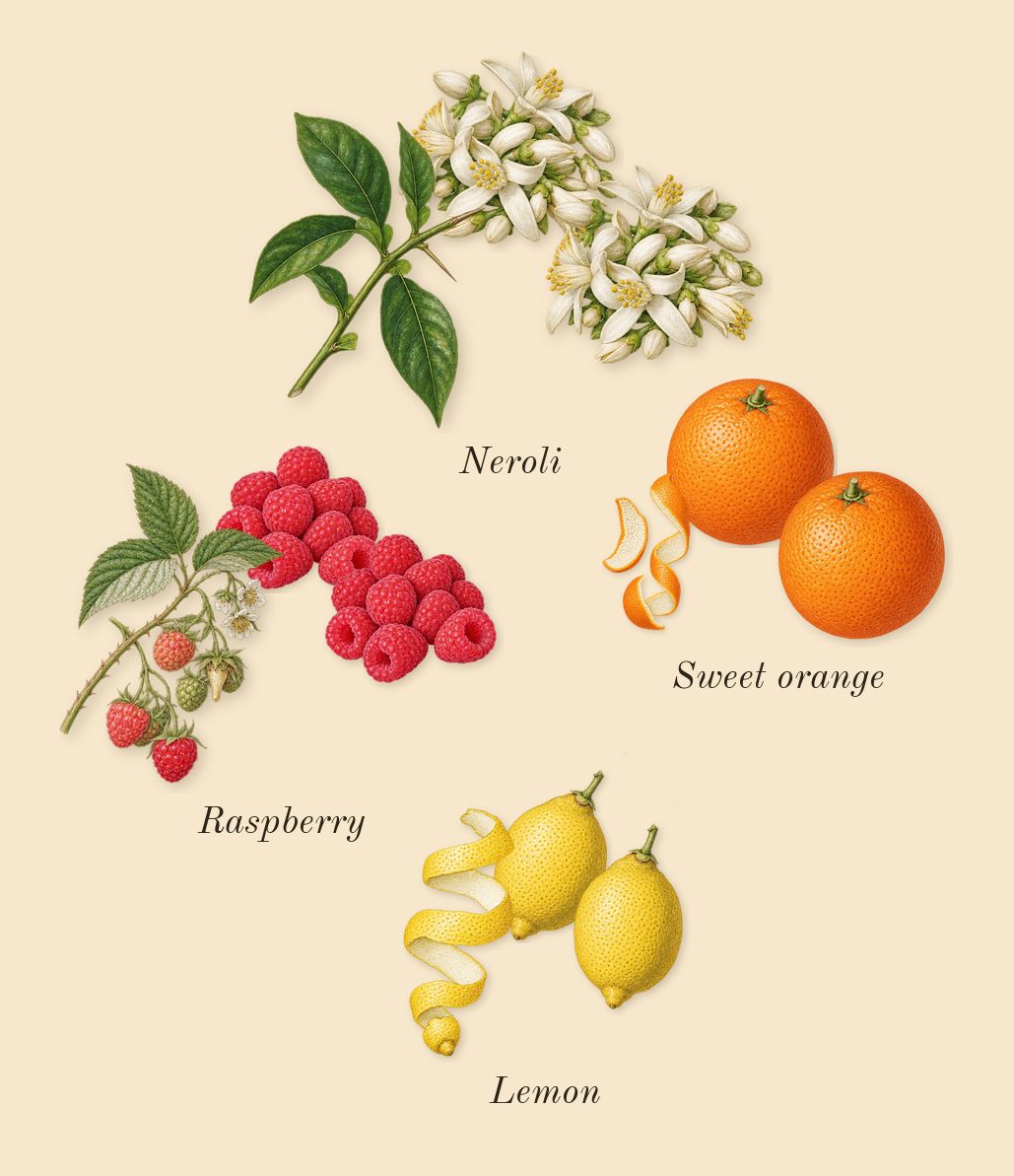 Aurum, top notes: Raspberry, Neroli, Sweet orange, Lemon