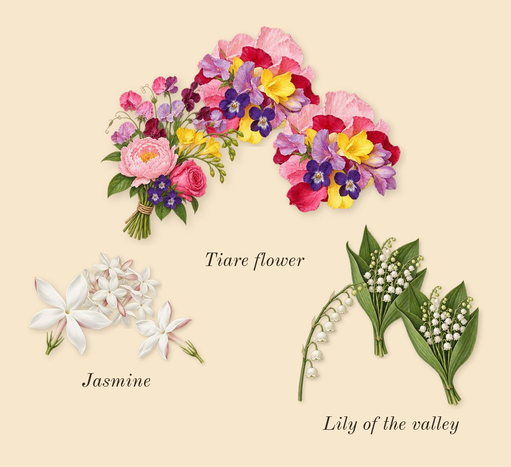 Blanche IV, heart: Jasmine, Lily of the valley, Tiare flower