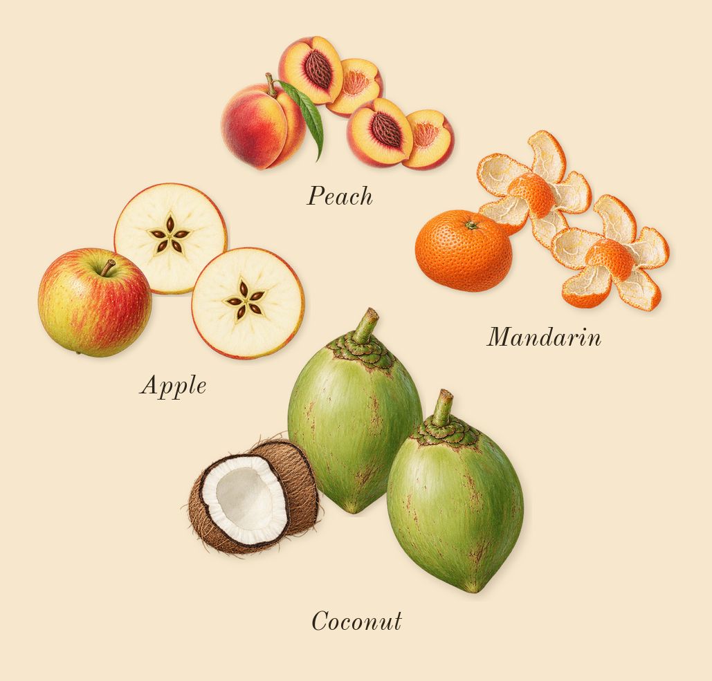 Blanche IV, top notes: Mandarin, Coconut, Apple, Peach