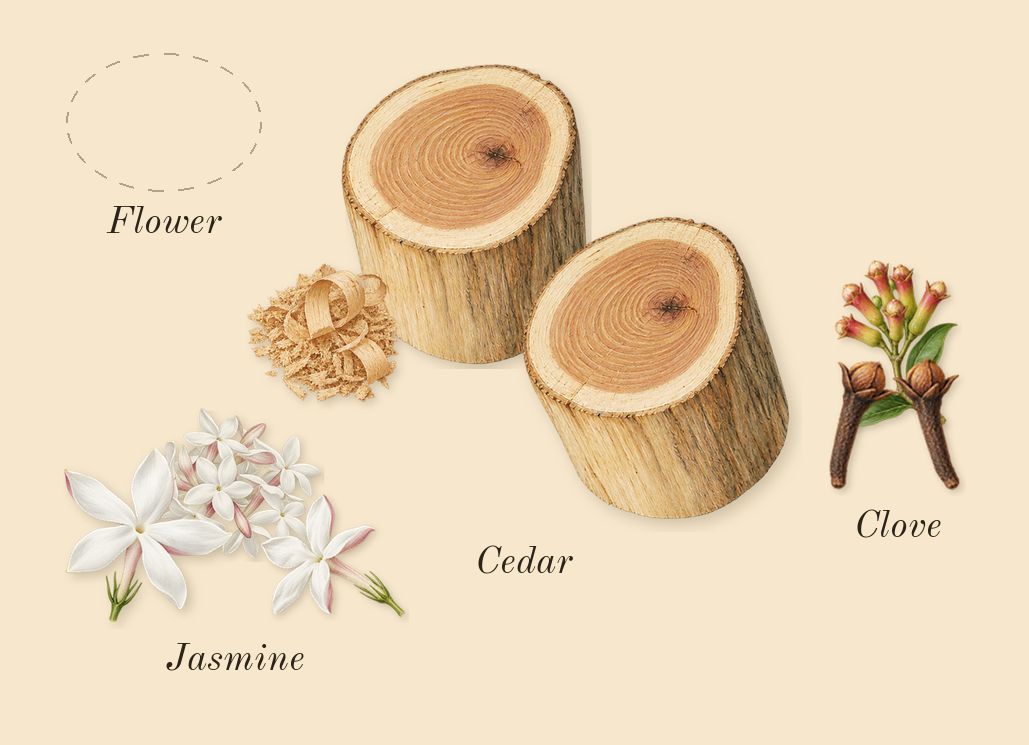 Carbon, heart: Jasmine, Cedar, Clove