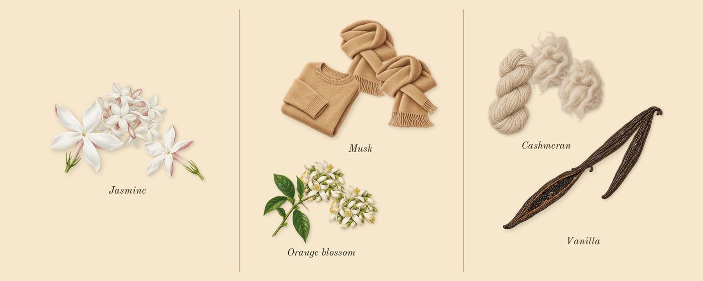 Sacrifice for Her’s scent picture, a draft: jasmine, musk, orange blossom, vanilla, cashmeran drawn so far; dashed outlines where nothing is drawn yet