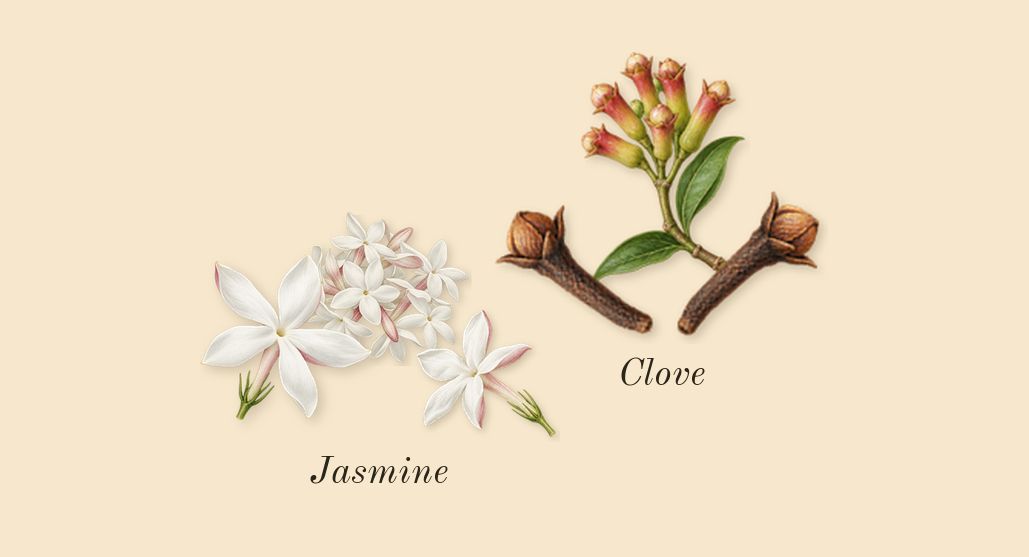 Wisal, heart: Jasmine, Clove
