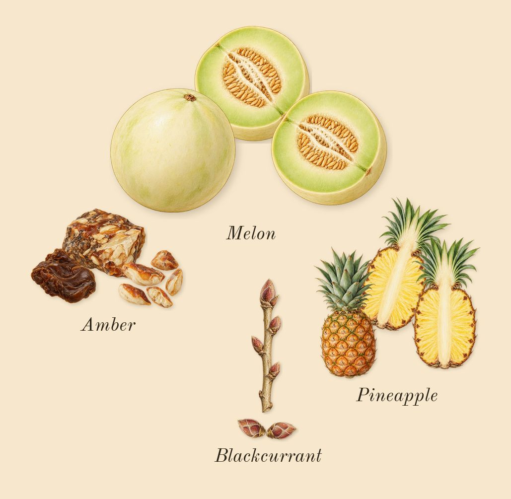 Amber Oud Aqua Dubai, heart: Melon, Pineapple, Blackcurrant