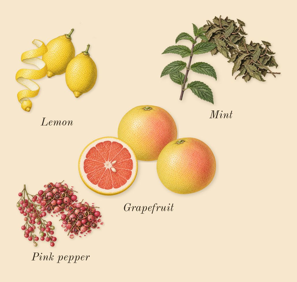 Amber Oud Bleu Edition, top notes: Lemon, Grapefruit, Pink pepper, Mint