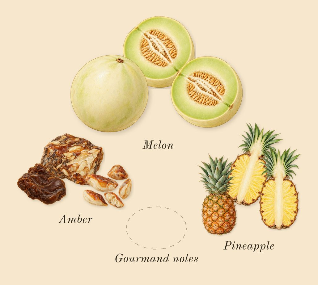 Amber Oud Gold Edition, heart: Melon, Pineapple