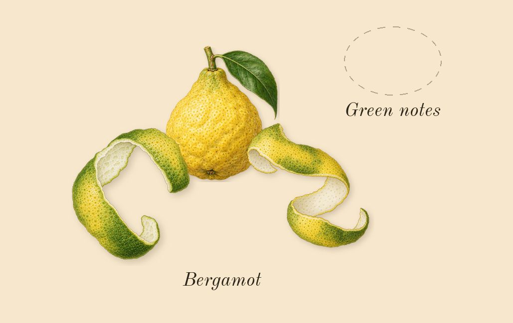 Amber Oud Gold Edition, top notes: Bergamot