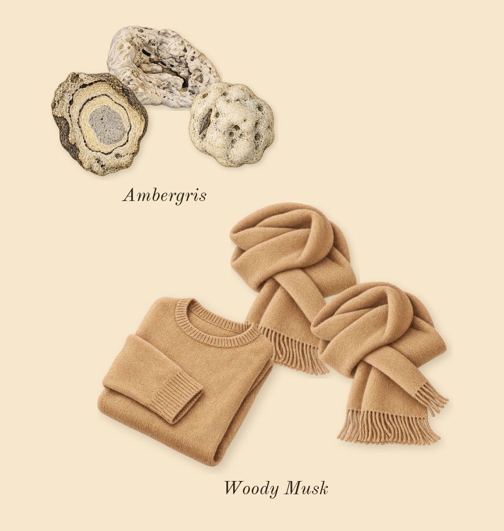 Amber Oud Ruby Edition, dry-down: Ambergris, Woody Musk