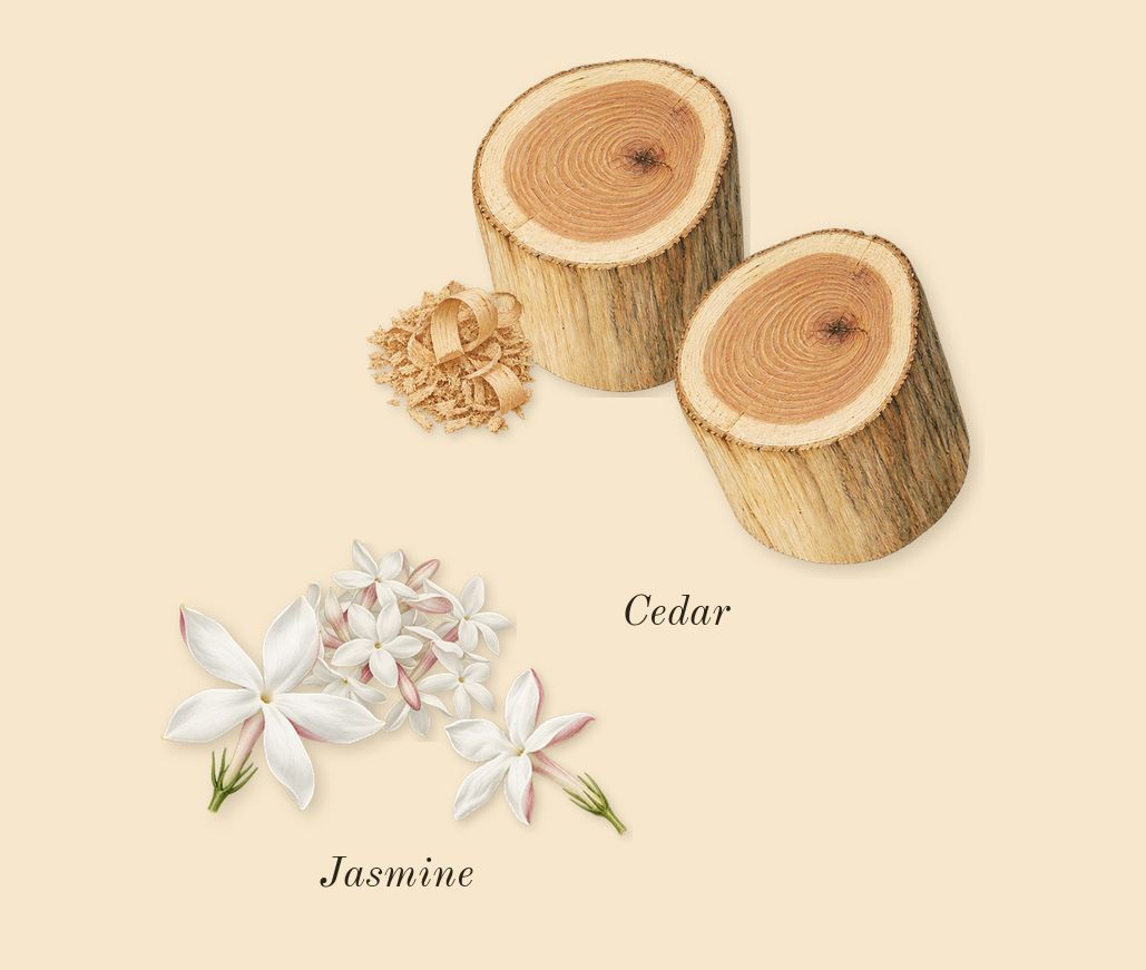 Amber Oud Ruby Edition, heart: Jasmine, Cedar