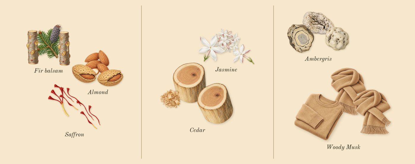 Amber Oud Ruby Edition’s scent picture, a draft: almond, saffron, jasmine, cedar, ambergris, woody musk drawn so far; dashed outlines where nothing is drawn yet