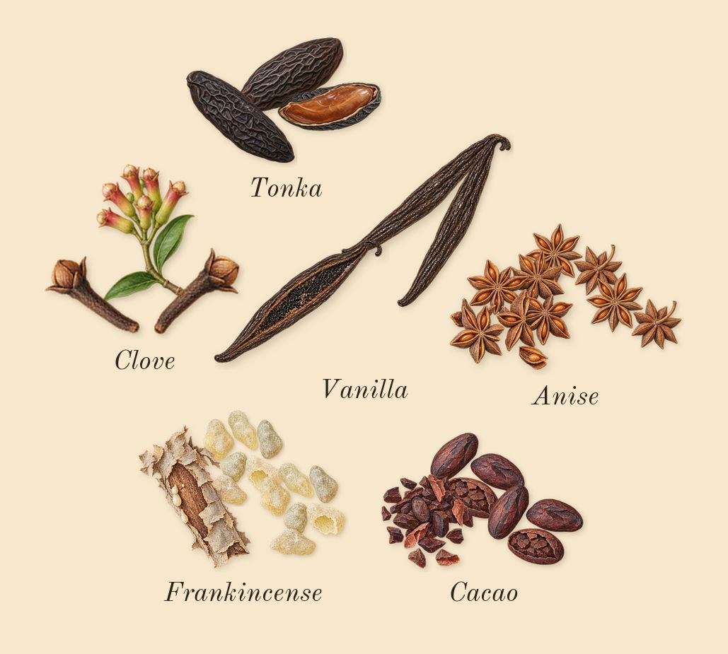 Amber Oud Tobacco Edition, heart: Tonka, Clove, Anise, Vanilla, Cacao, Frankincense